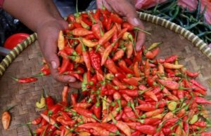 Harga Beras Hingga Cabai Meroket di Awal Ramadhan